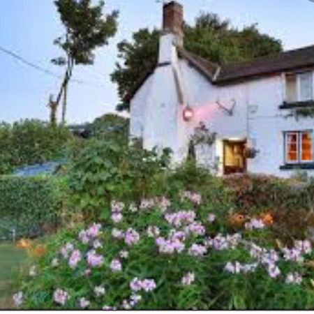 The Northmore Arms Throwleigh Extérieur photo