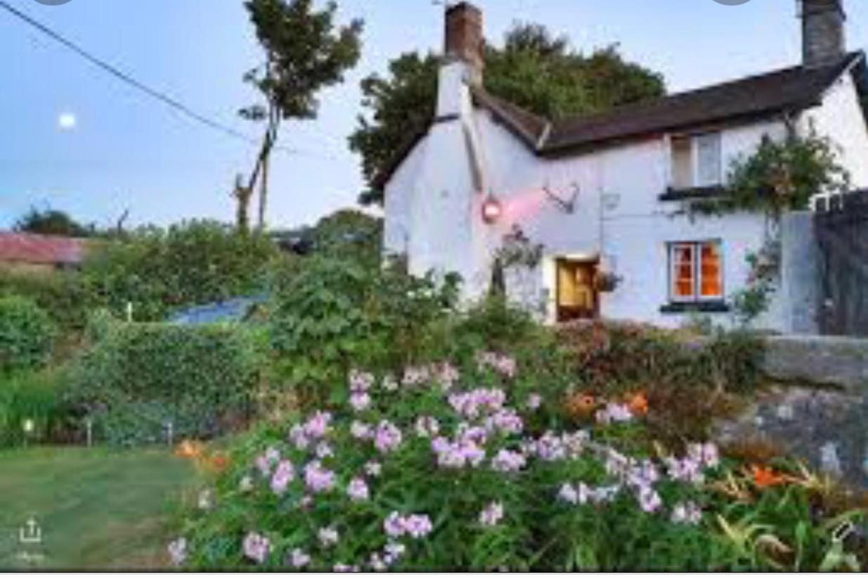 The Northmore Arms Throwleigh Extérieur photo